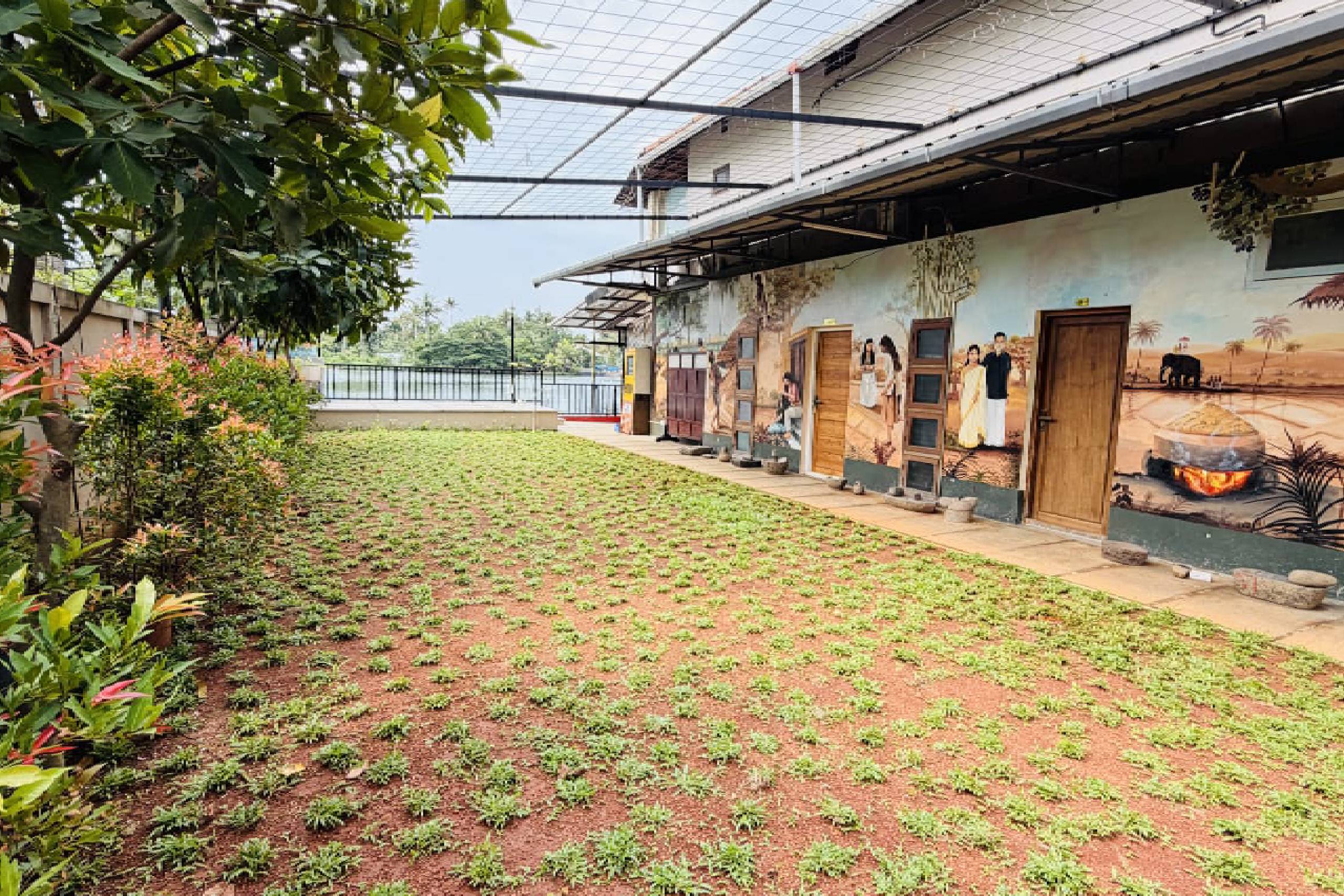 Lawn View